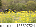 A steam locomotive running among rape blossoms 125697524