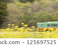 Mooka Railway running among rape blossoms 125697525