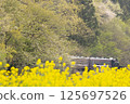 A steam locomotive running among the rape blossoms 125697526