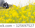 A steam locomotive running among the rape blossoms 125697527