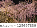 Cherry blossoms at the castle 125697839