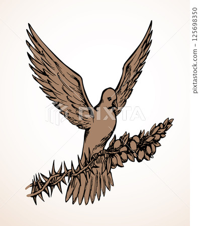 Vector drawing. Dove on the thorn branch 125698350