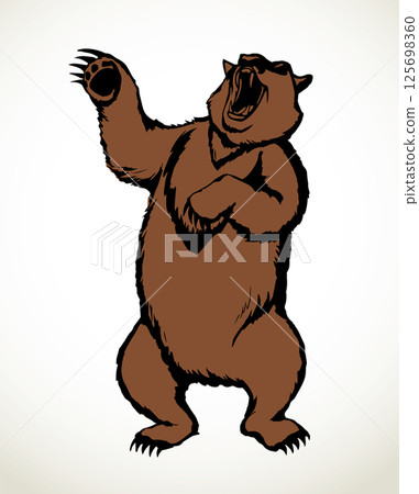 Vector drawing. An angry bear stands and growls 125698360