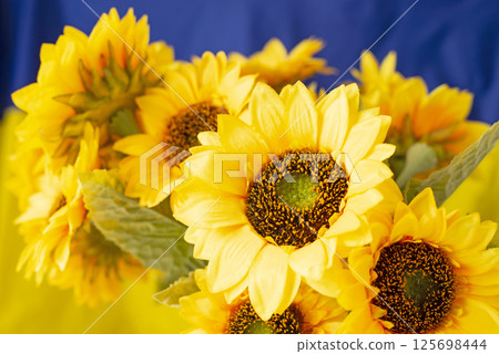 Sunflowers close-up are a symbol of the country. on the background of the flag of Ukraine. Sunflowers close-up are a symbol of the country. on the background of the flag of Ukraine. 125698444
