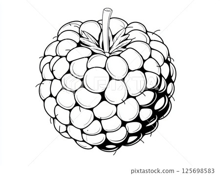 Minimalistic 2d line drawing of a raspberry on white background 125698583