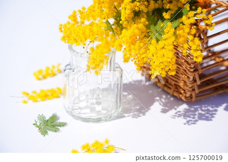 Mimosa arrangement, interior design Mimosa arrangement, interior design 125700019