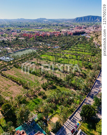 Aerial view of Orihuela townscape during sunny day. Spain 125700159