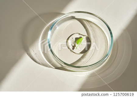 A delicious drop of serum with a leaf in a petri dish. A delicious drop of serum with a leaf in a petri dish. 125700619