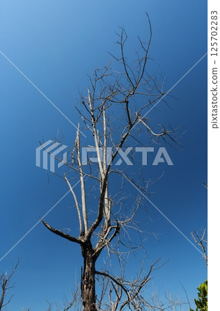 Shuangchun Coastal Recreation Area Shuangchun Coastal Recreation Area 125702283