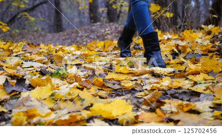 Female feet in boots going on fallen maple leaves at park. Legs of young woman stepping on yellow foliage at autumn forest. Girl walking along trail at wild nature. Close up Slow motion 125702456