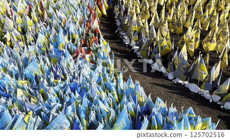 Many small blue-yellow flags with names of the dead war against russia. Memorial of the fallen soldiers, children, women in the capital of Ukraine. Concept of tragedy and misfortune. Close up 125702516