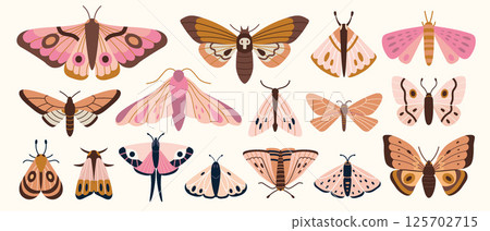Set with various moths, hawkmoths and butterflies in soft pink brown palette. Nocturnal insect collection. Trendy modern vector illustration isolated on white background, hand drawn, flat design Set with various moths, hawkmoths and butterflies in soft pink brown palette. Nocturnal insect collection. Trendy modern vector illustration isolated on white background, hand drawn, flat design 125702715