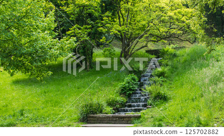 Little waterfall in the summer park. Nature background. Falls with clean water in sunny day and much green trees around. 125702882
