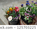 gardening  125703225