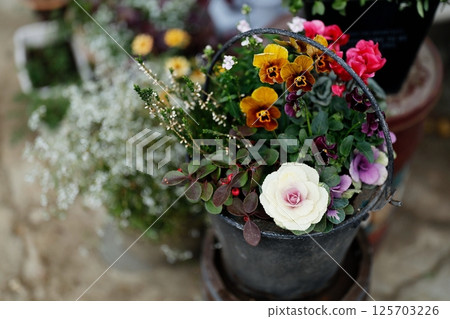 gardening  125703226