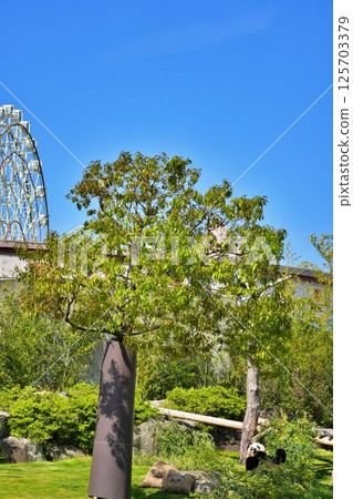 冒險世界風景 冒險世界風景 125703379