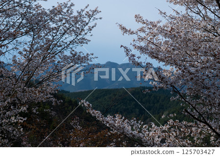 櫻花和山 125703427