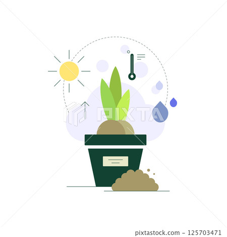 Plant growing. Seedling in pot. Sunlight and watering. Growing conditions Plant growing. Seedling in pot. Sunlight and watering. Growing conditions 125703471