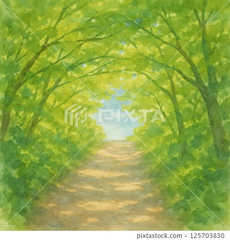 A tunnel of fresh green trees 125703830