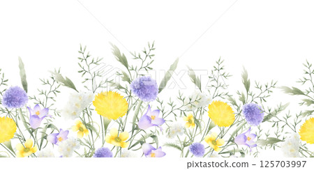 Wildflowers bellflower, dandelion, yarrow and meadow grasses. Hand drawn isolated watercolor seamless border of yellow lilac field flower. Horizontal banner with copy space for fabric, packing tape Wildflowers bellflower, dandelion, yarrow and meadow grasses. Hand drawn isolated watercolor seamless border of yellow lilac field flower. Horizontal banner with copy space for fabric, packing tape 125703997