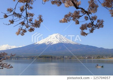 Sakura and Mt. Fuji and Kawaguchiko 125704057