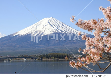 Sakura and Mt. Fuji and Kawaguchiko Sakura and Mt. Fuji and Kawaguchiko 125704058