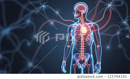 Graphic conceptual illustration of the nervous system in the human body, external environmental influences, sensory perception 125704191