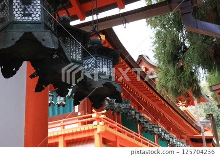 Kasuga Taisha Shrine, Nara Prefecture 125704236