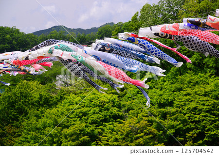 Refreshing May carp streamers 125704542