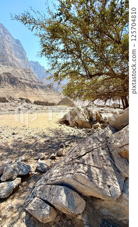 Rock formations and acacia trees intertwine under highland light, revealing ecological resilience, fossil-rich strata, and balanced desert habitat, ideal for nature walks and eco-photography. Rock formations and acacia trees intertwine under highland light, revealing ecological resilience, fossil-rich strata, and balanced desert habitat, ideal for nature walks and eco-photography. 125704810