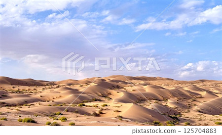 Stunning dunes dominate scene under rich deep blue sky, textured slopes shaped by desert winds, each golden crest standing out clearly in pure contrast with cloudless, arid background. 125704883