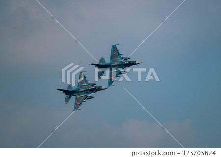 航空自衛隊航空展 航空自衛隊航空展 125705624
