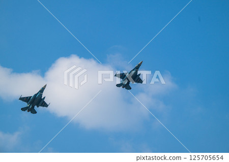 Air Self Defense Force Air Show 125705654