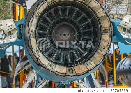 Air Self Defense Force Air Show 125705889