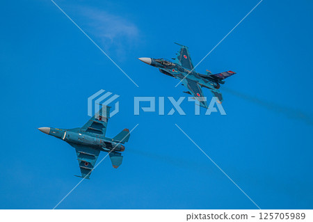 Air Self Defense Force Air Show 125705989