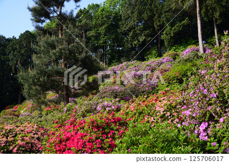 鹽船觀音寺：鮮花與歷史的寺廟 125706017