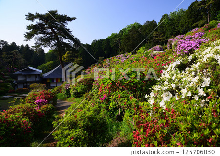 Shiofune Kannonji Temple: A temple of flowers and history 125706030