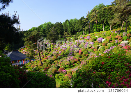 Shiofune Kannonji Temple: A temple of flowers and history 125706034