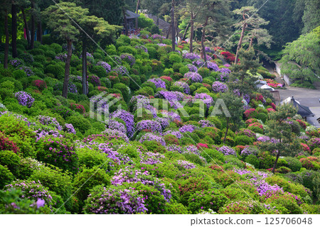 Shiofune Kannonji Temple: A temple of flowers and history Shiofune Kannonji Temple: A temple of flowers and history 125706048
