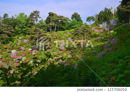 Shiofune Kannonji Temple: A temple of flowers and history 125706050