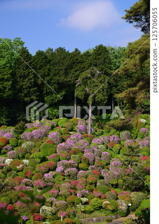 Shiofune Kannonji Temple: A temple of flowers and history Shiofune Kannonji Temple: A temple of flowers and history 125706055