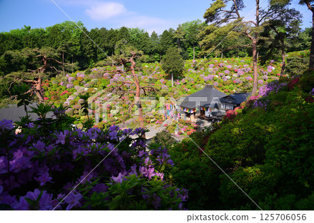 Shiofune Kannonji Temple: A temple of flowers and history Shiofune Kannonji Temple: A temple of flowers and history 125706056
