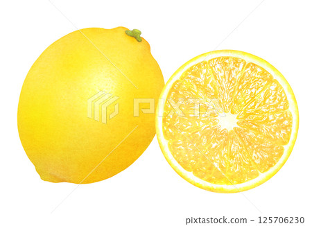 新鮮檸檬手繪插畫_水彩_整個和切片檸檬_柑橘類水果 125706230