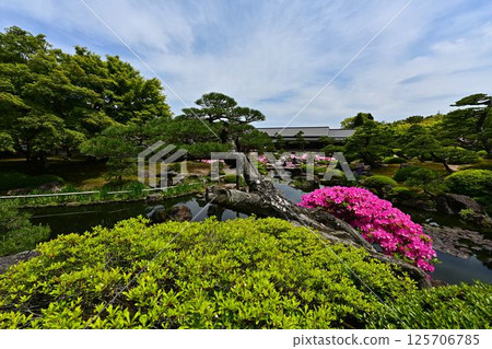 由志園景觀 由志園景觀 125706785