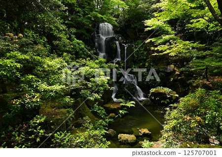 由志園景觀 125707001