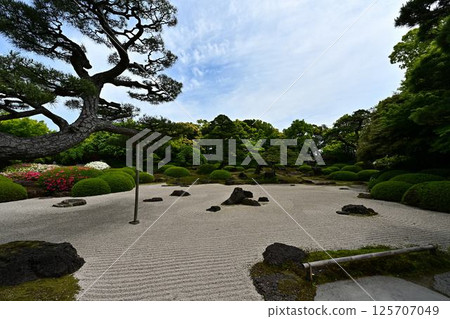 由志園景觀 125707049