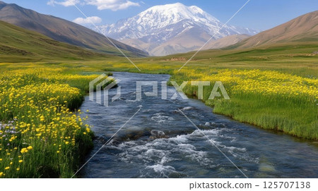 spring landscape with a mountain river 125707138