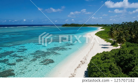 Tropical Beach Meets Crystal Water on Sunny Day, Explore Island Paradise with Lush Vegetation 125707182