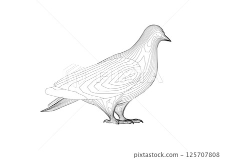 Pigeon vector contour character flat illustration. Dove pigeon seen in Side view - Flat style vector Pigeon vector contour character flat illustration. Dove pigeon seen in Side view - Flat style vector 125707808
