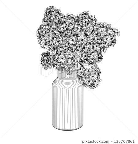 Outlines of vases with flowers. Contour of line flower bouquets in vase, vector illustration Outlines of vases with flowers. Contour of line flower bouquets in vase, vector illustration 125707861
